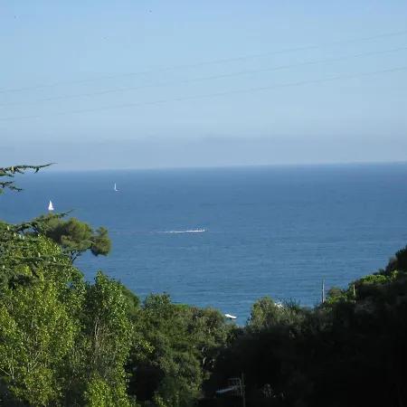 Montemar *